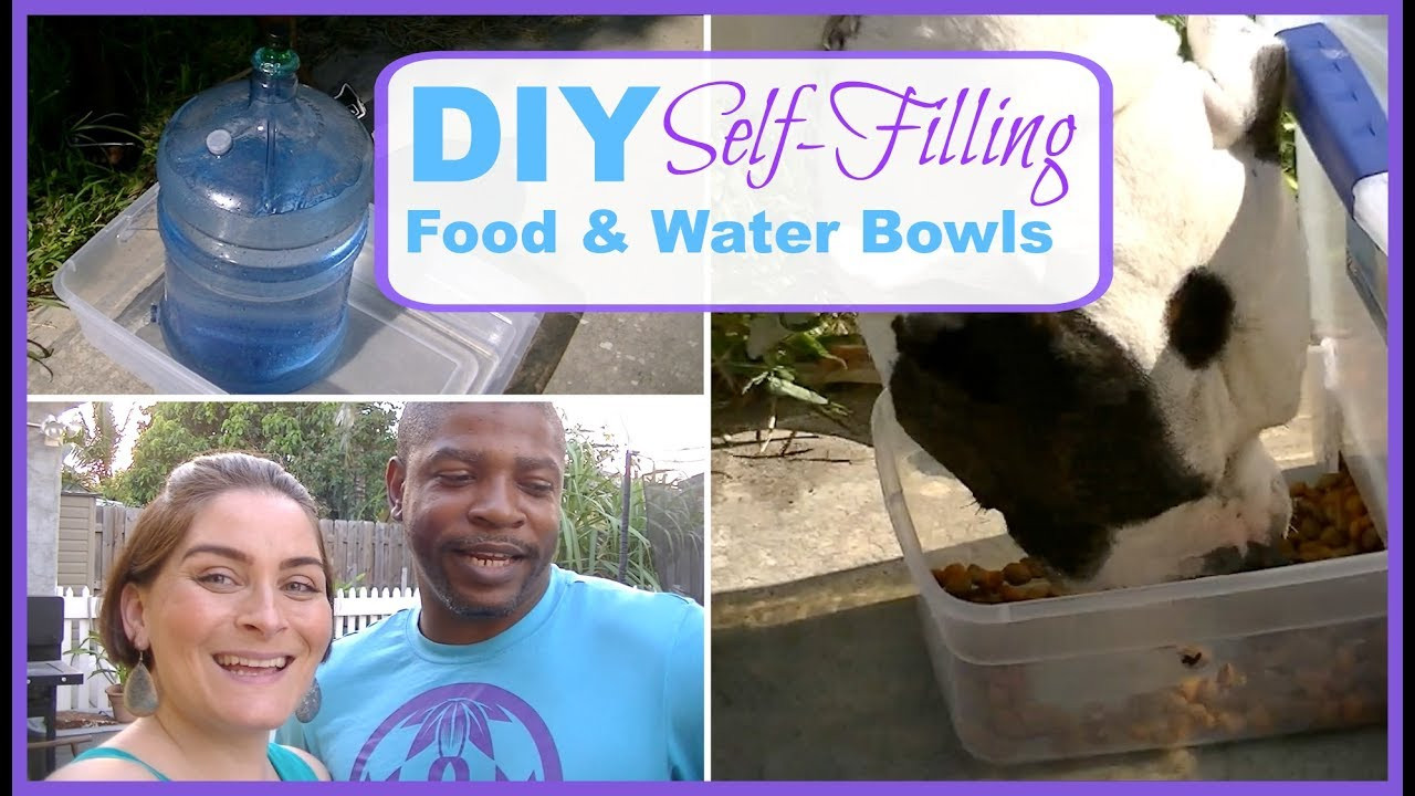 DIY Self Filling Dog Water Bowl
 DIY Self Filling Food & Water Bowls Cats or Dogs