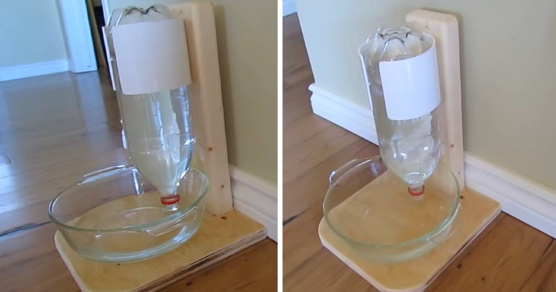 DIY Self Filling Dog Water Bowl
 DIY Self Filling Water Bowl For Your DOG CAT