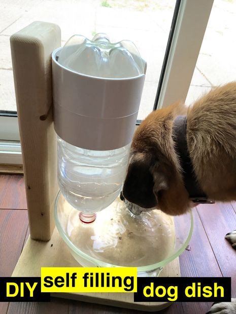 DIY Self Filling Dog Water Bowl
 DIY Self Watering Dog Dish 11 Steps with