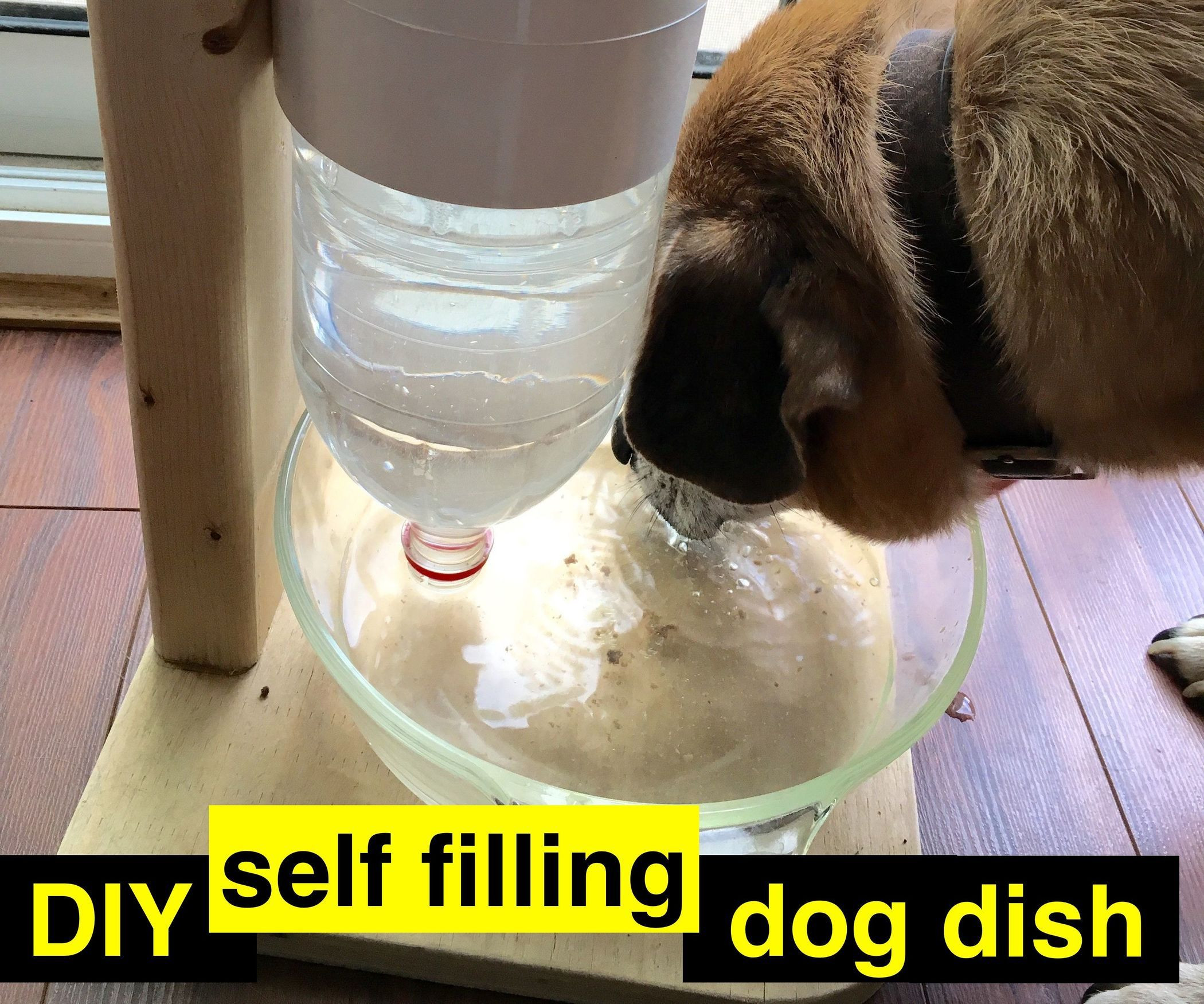 DIY Self Filling Dog Water Bowl
 DIY Self Watering Dog Dish