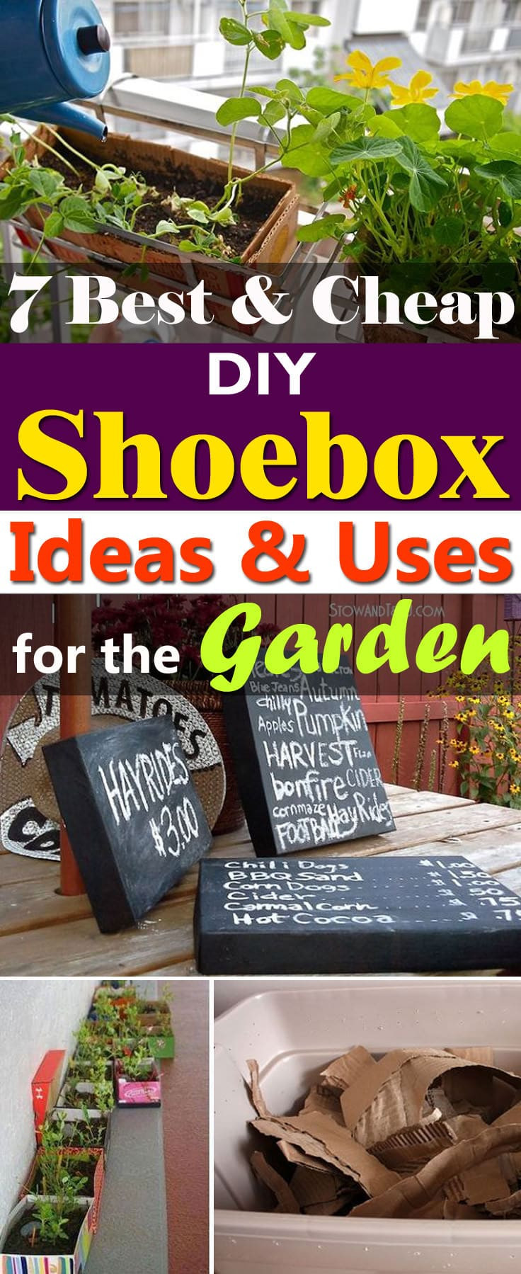 DIY Shoe Box
 7 Best DIY Shoe box Ideas & Uses For The Garden