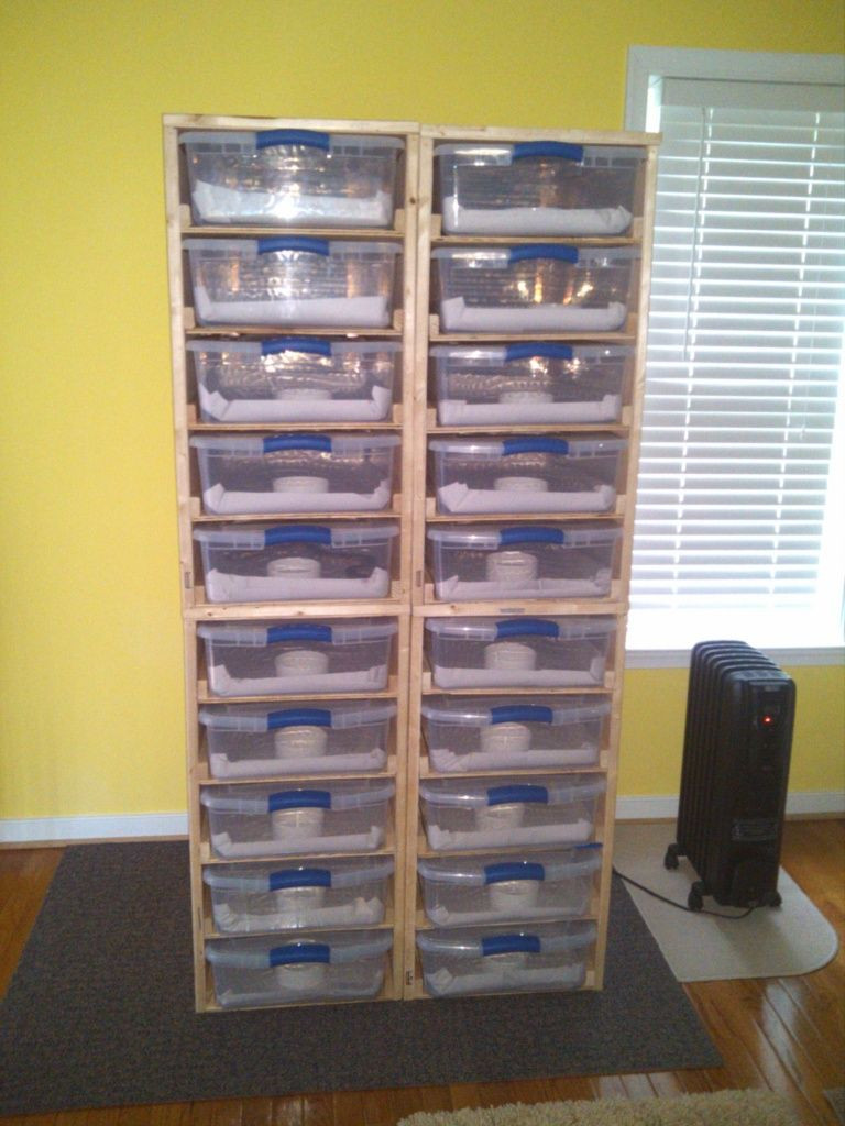 DIY Snake Rack
 20 SLOT 34 QUART STERALITE RACK