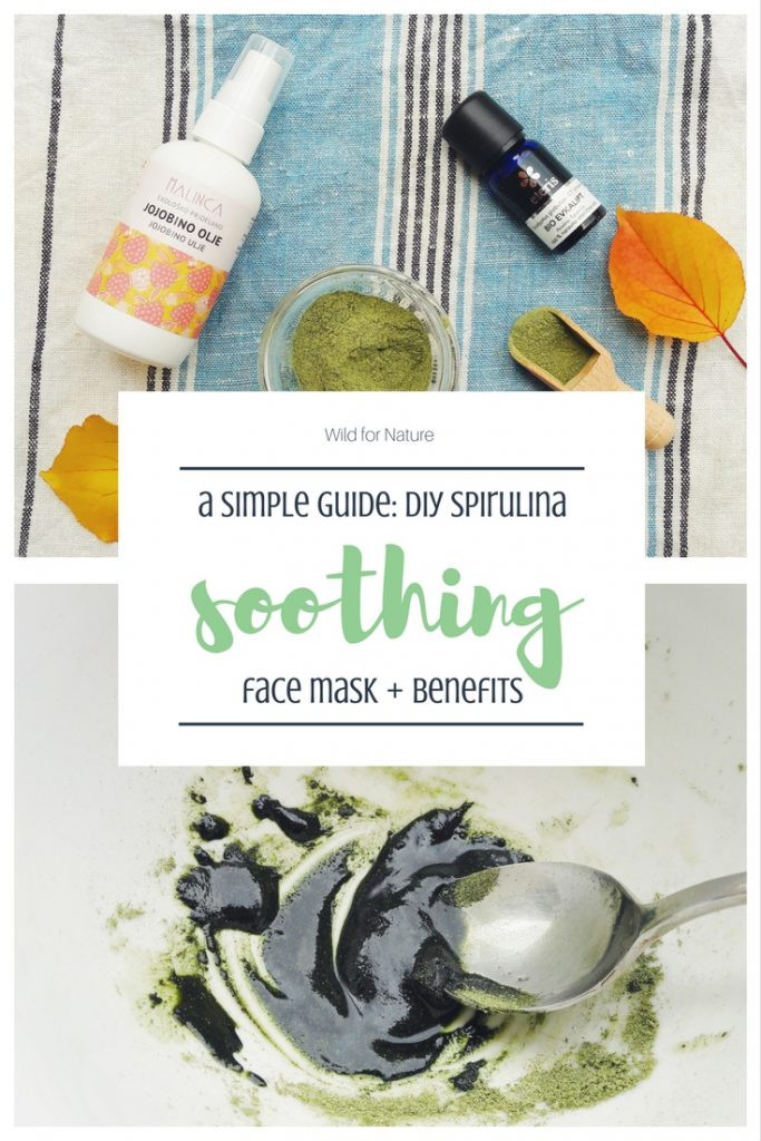 DIY Soothing Face Mask
 Soothing DIY Spirulina Face Mask – Wild for Nature