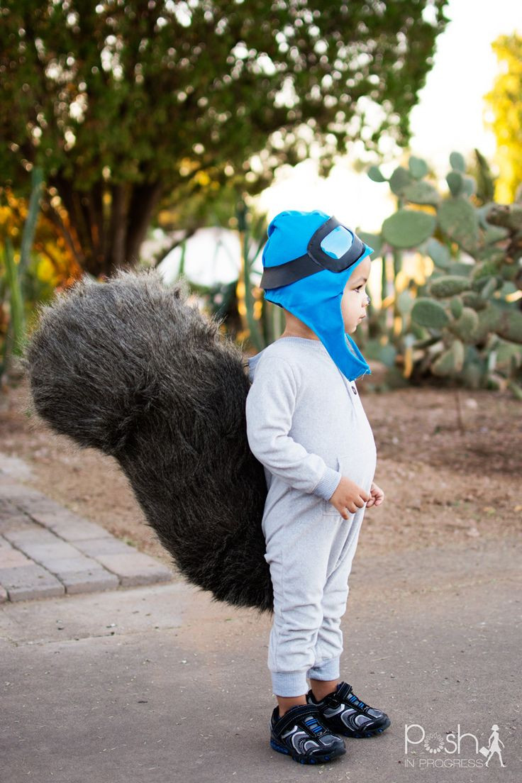 DIY Squirrel Costume
 Rocky the Flying Squirrel DIY Aviator Hat
