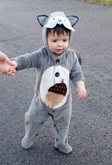 DIY Squirrel Costume
 DIY Punny Halloween Costumes Wel e to the Woods