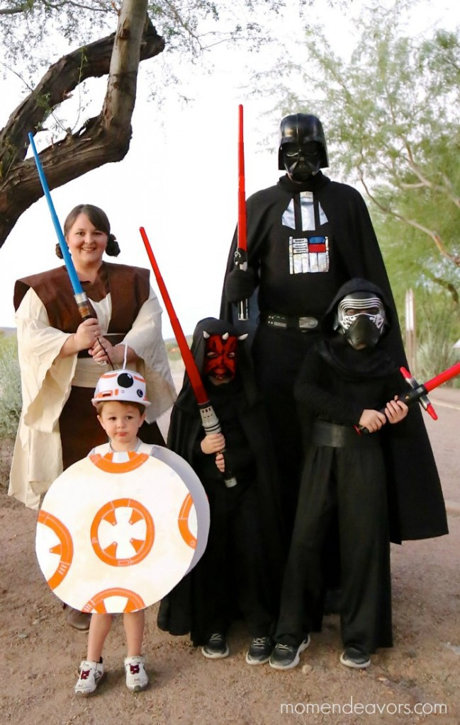 DIY Star Wars Costumes For Adults
 DIY Star Wars Family Costumes