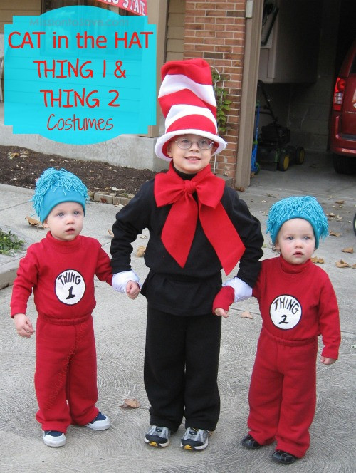 DIY Thing 1 And Thing 2 Costumes
 DIY Halloween Costumes for Kids