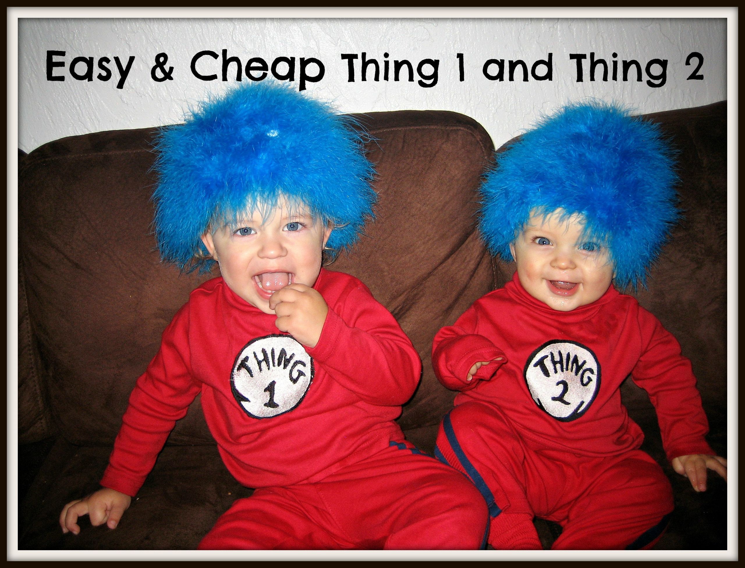 DIY Thing 1 And Thing 2 Costumes
 DIY