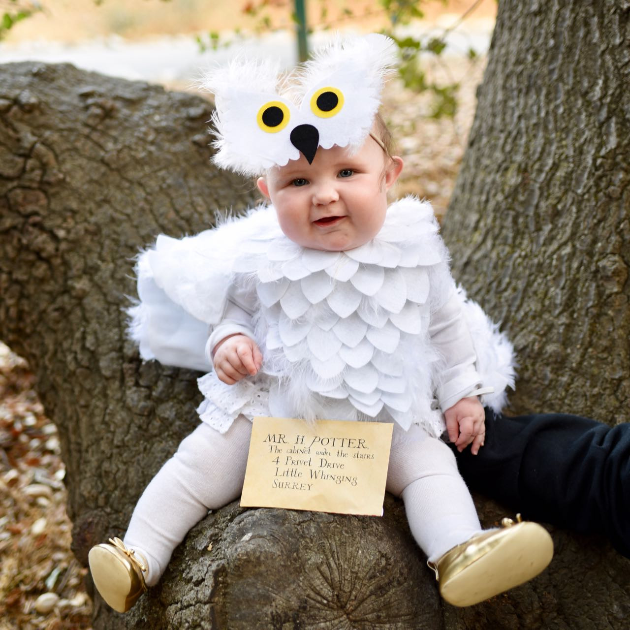 DIY Toddler Owl Costume
 Hedwig Baby Owl Costume DIY No Sew Make Life Lovely
