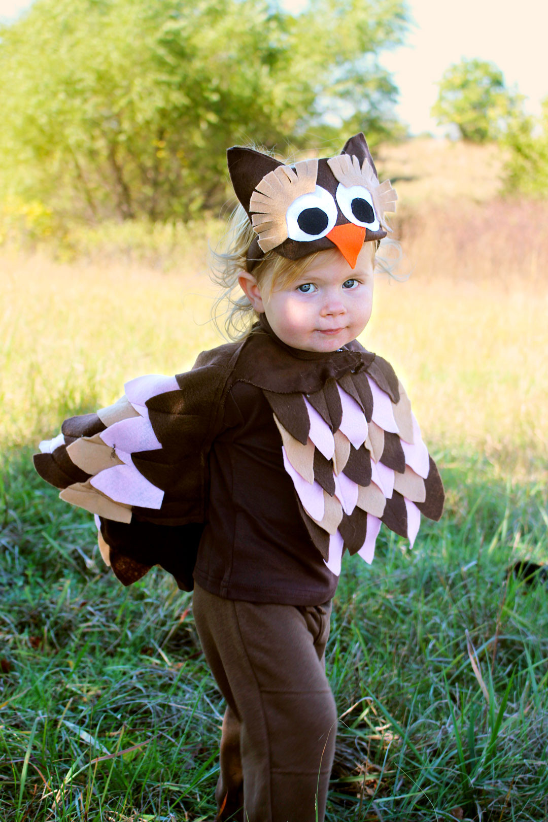 DIY Toddler Owl Costume
 Woodland Owl Halloween Costume Wel e To Nana s