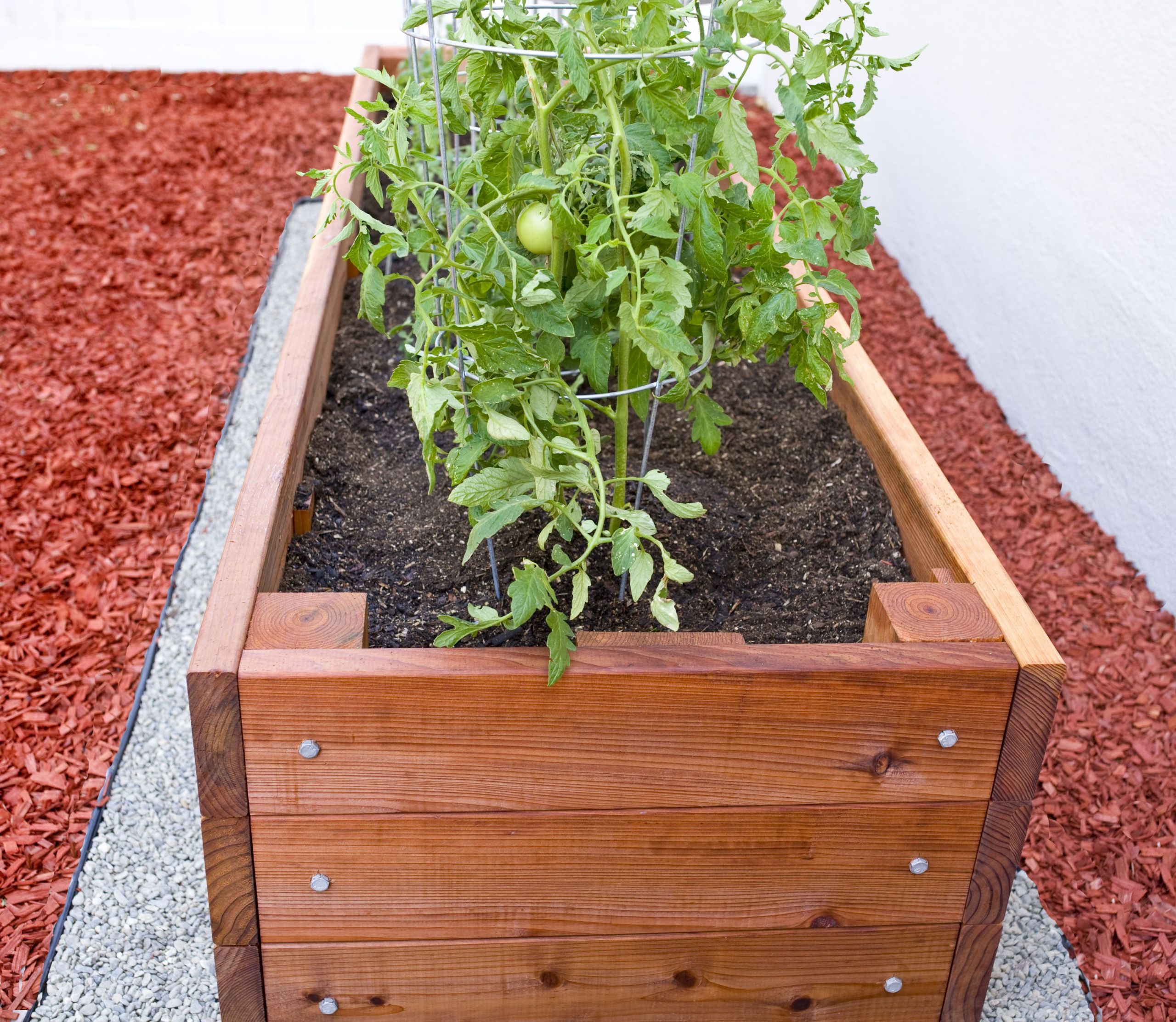 DIY Tomato Planter Box
 Redwood Planter Box for Tomatoes With images