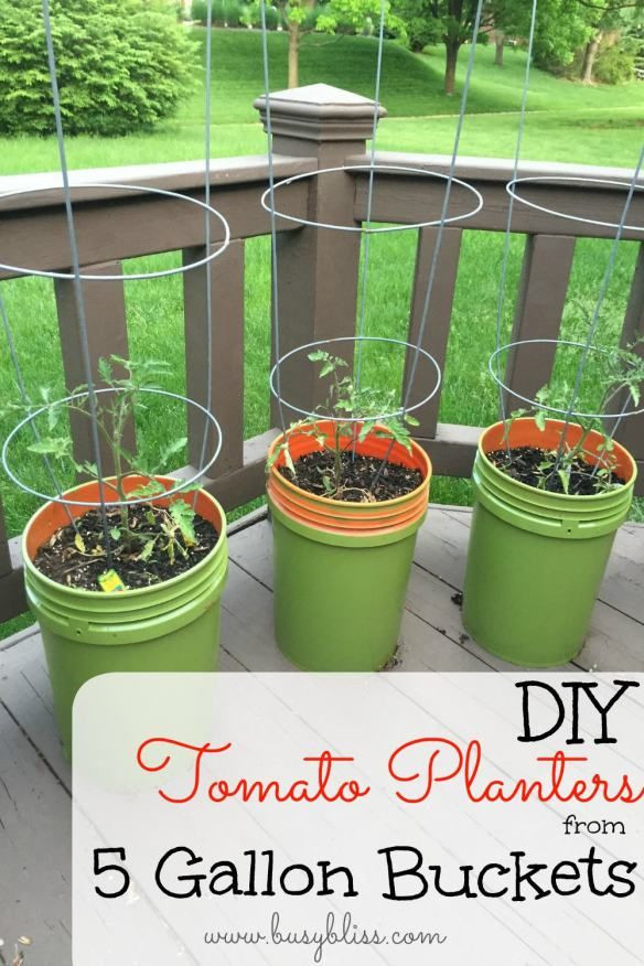 DIY Tomato Planter Box
 DIY Tomato Planters from 5 Gallon Buckets Busy Bliss