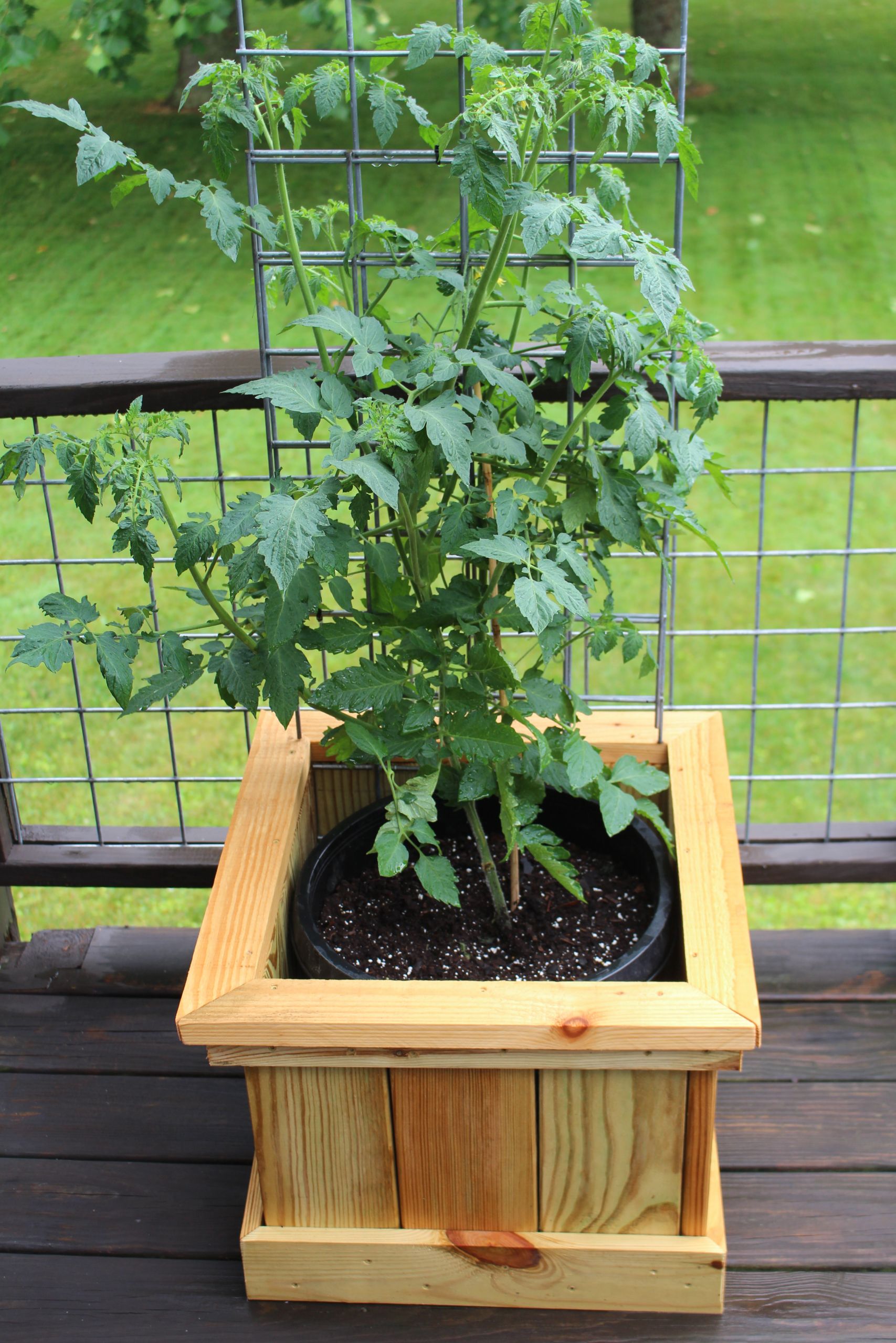 DIY Tomato Planter Box
 The Tomato Bucket Experiment – An Attractive New Twist on