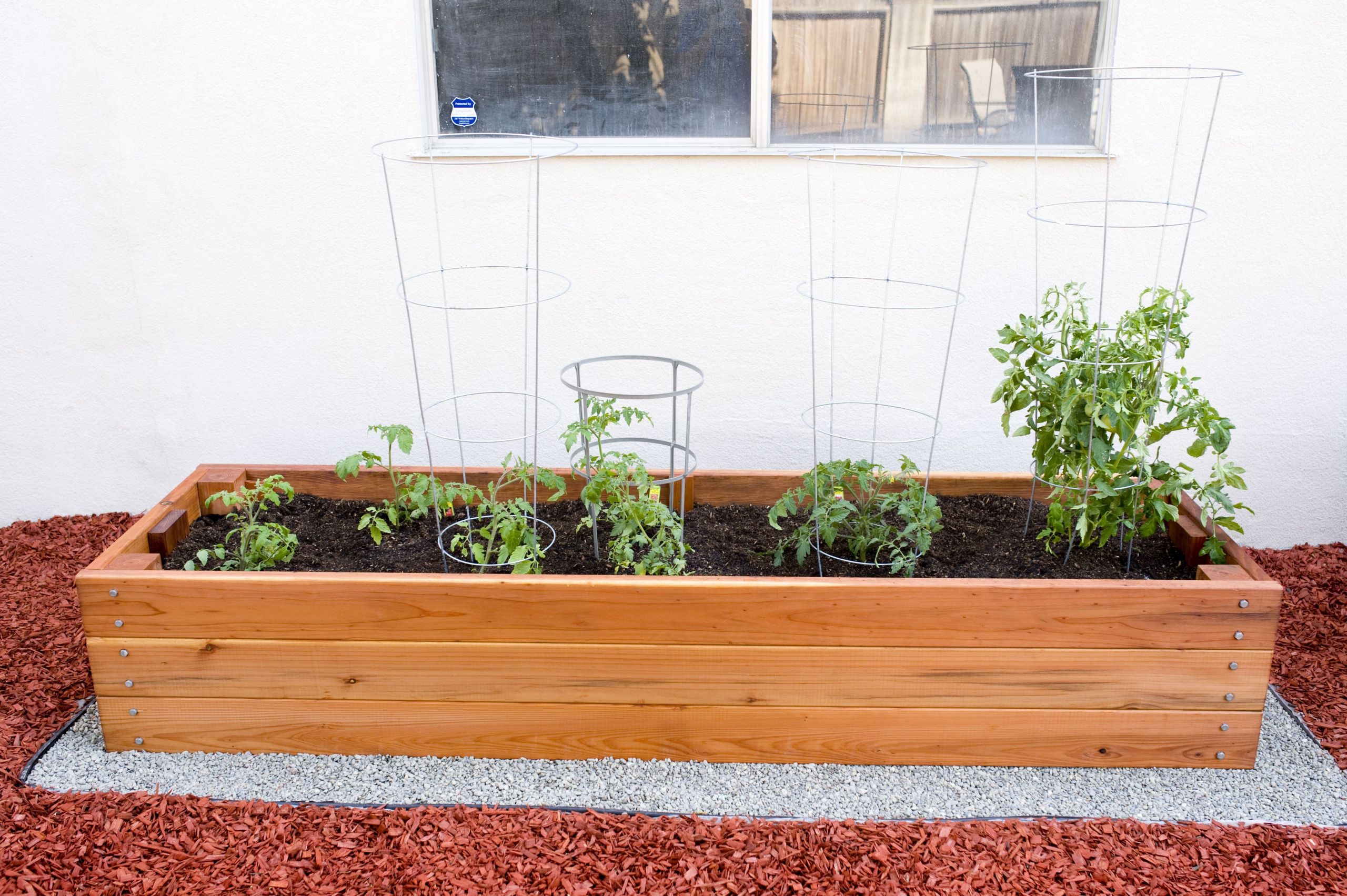 DIY Tomato Planter Box
 My 8ft x 2ft California Redwood Planter Box for Tomatoes