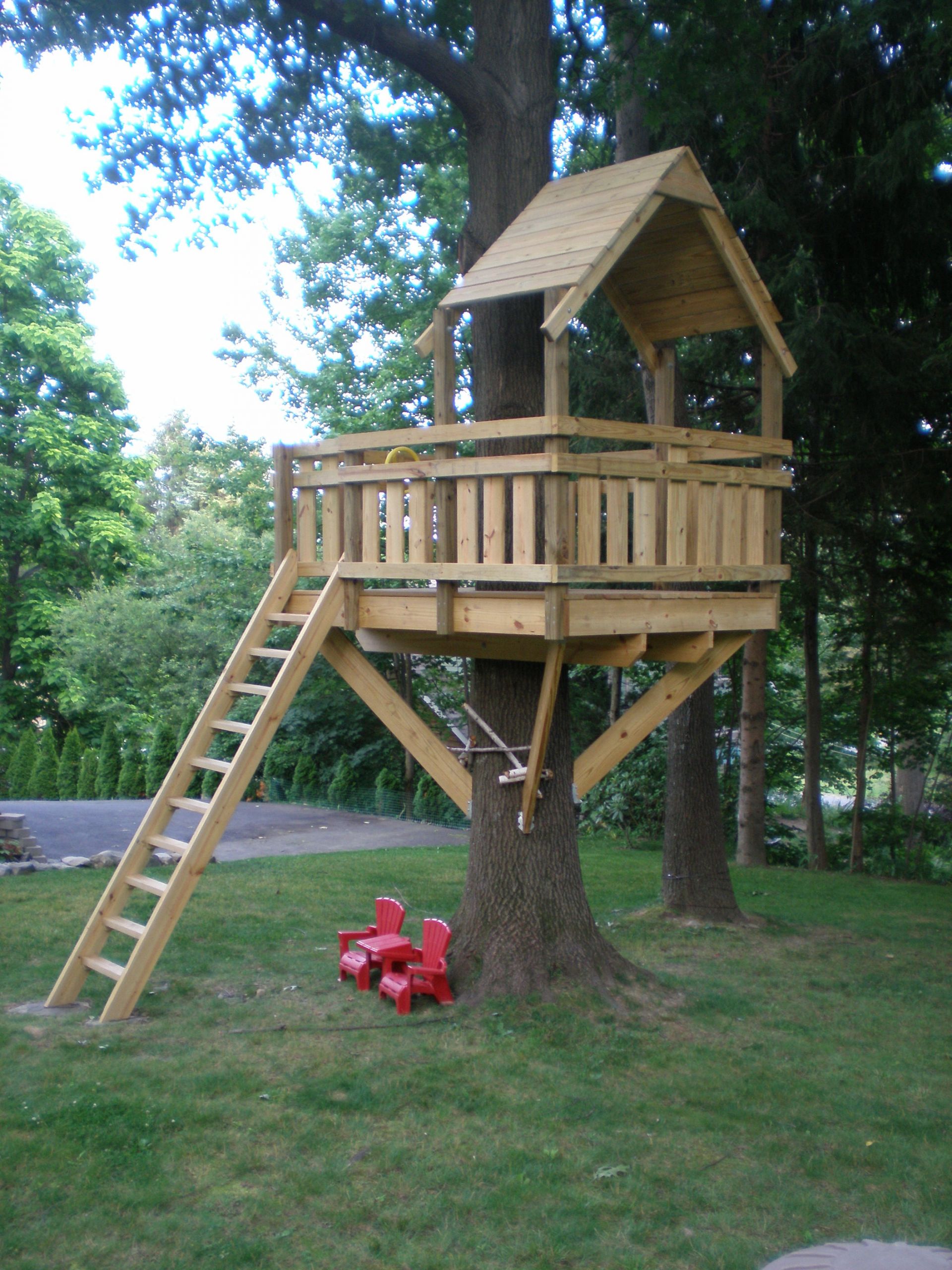 DIY Treehouse For Kids
 tree house