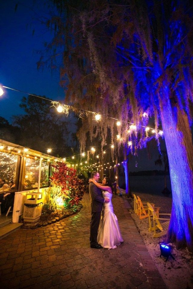 DIY Uplighting Wedding
 Exclusive Image of Uplighting Wedding Diy