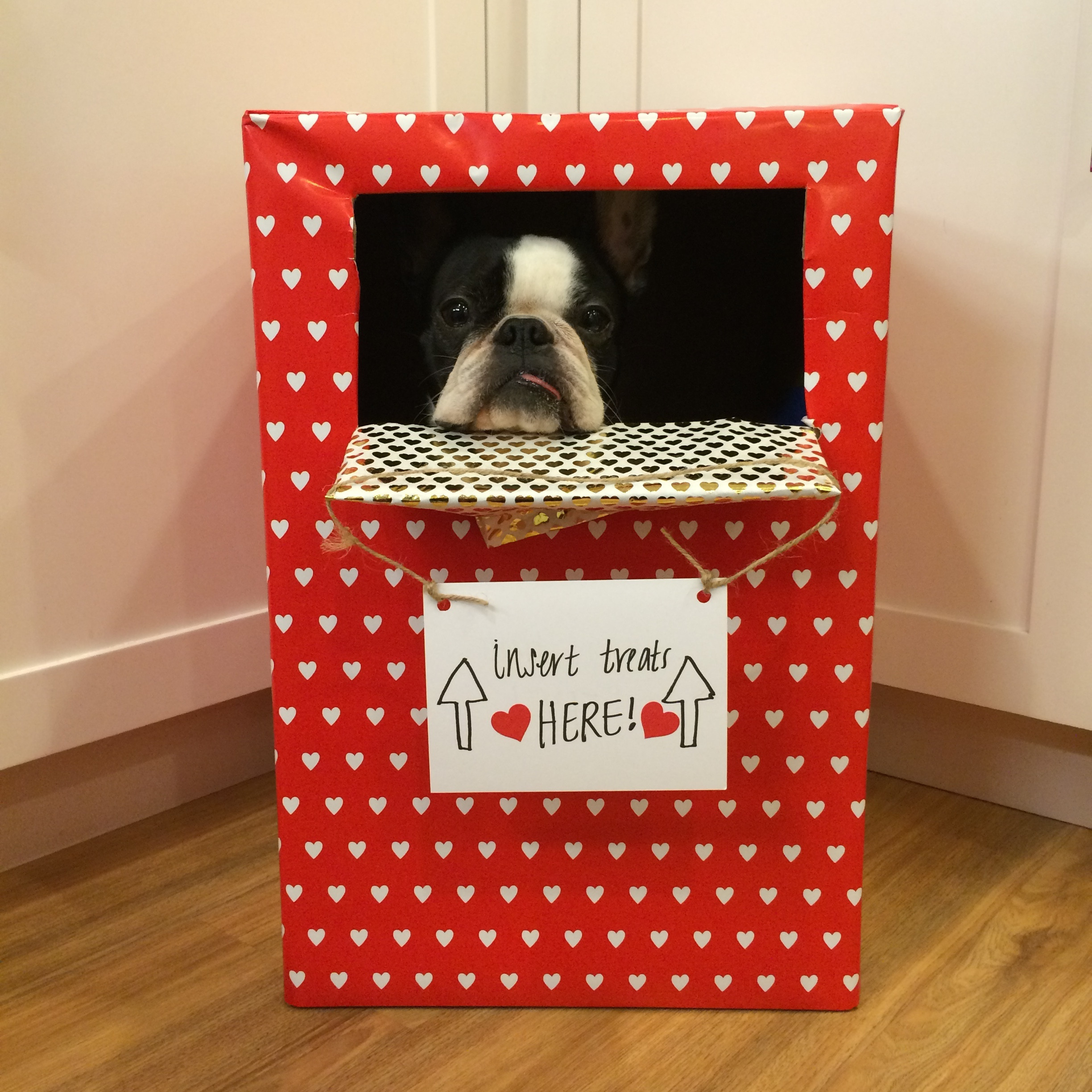 DIY Valentine Boxes
 We Tried 9 DIY Valentine s Crafts with Our Dogs—Here s