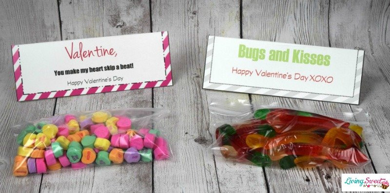 Diy Valentine Gifts For Kids
 DIY Valentine s Gift For Kids