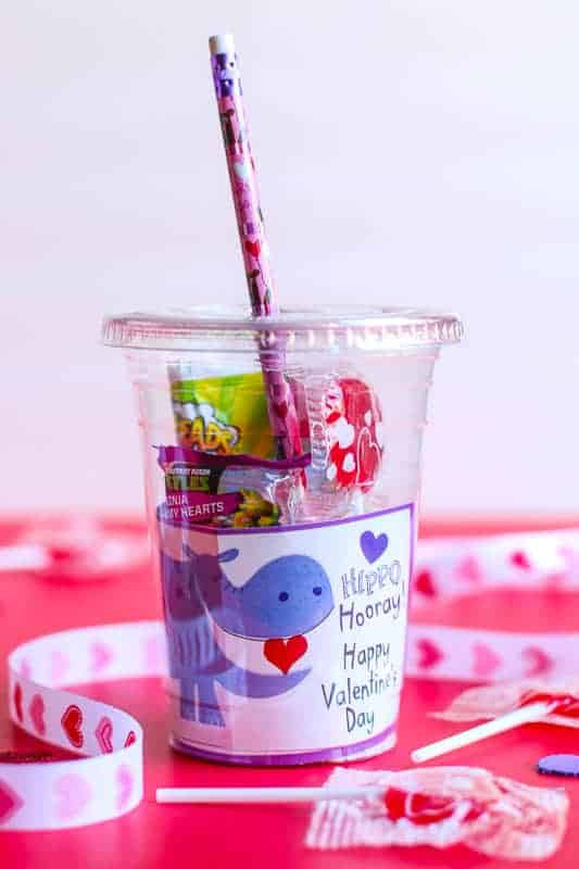 DIY Valentines Gifts For Classmates
 DIY Valentine s Day Gift for Classmates