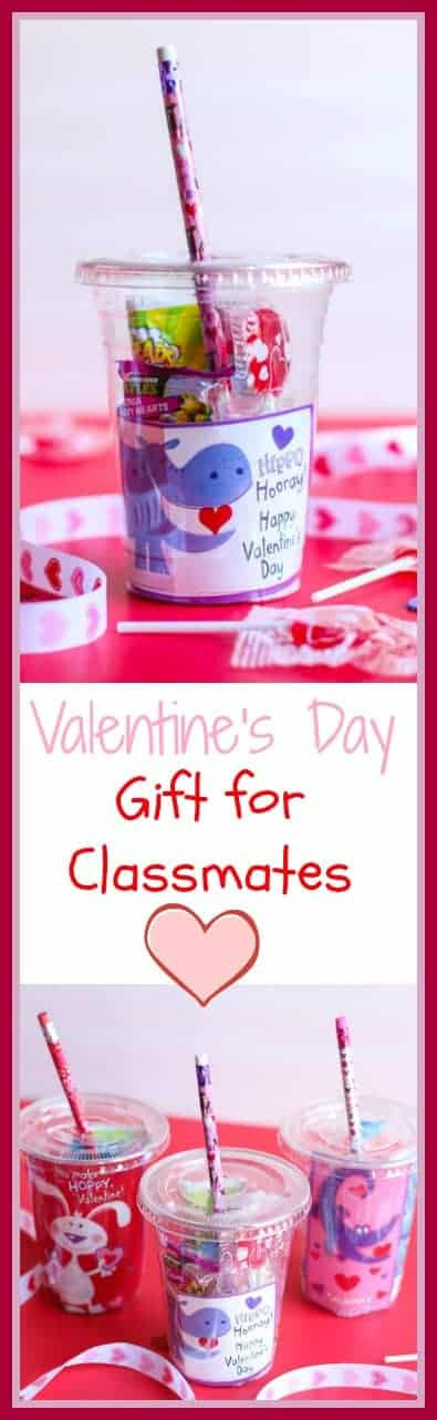 DIY Valentines Gifts For Classmates
 DIY Valentine s Day Gifts for Students From Teachers A