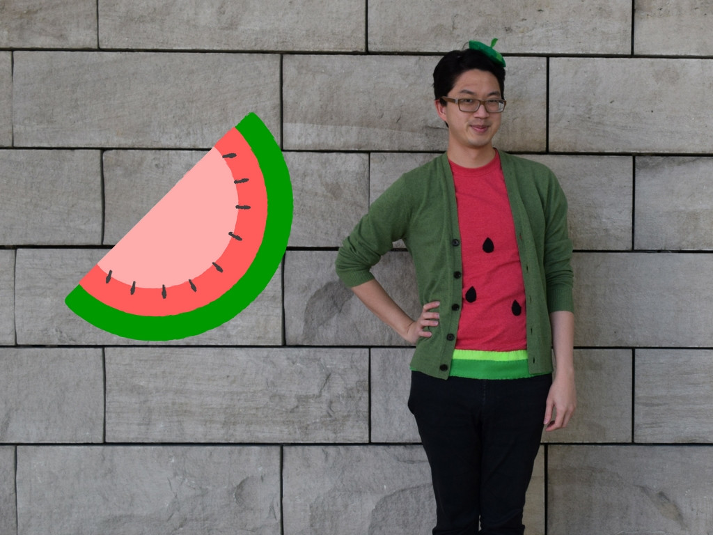 DIY Watermelon Costume
 DIY Watermelon Costume The Tri Factor