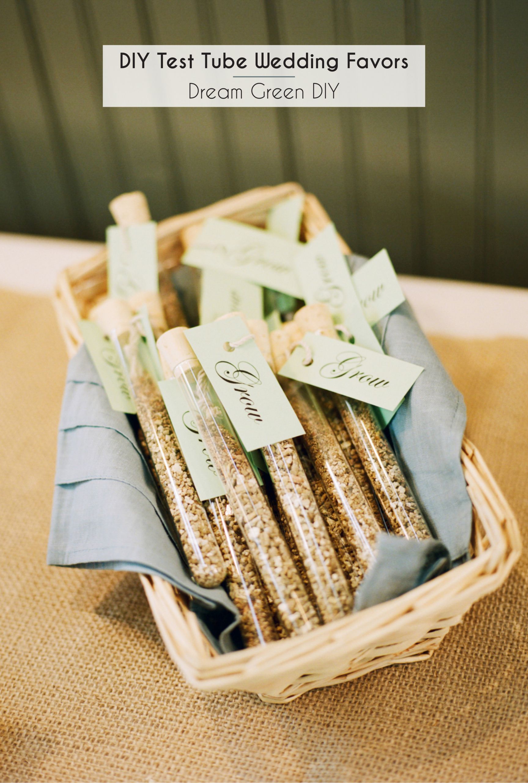 DIY Wedding Party Favors
 DIY Test Tube Wedding Favors Dream Green DIY