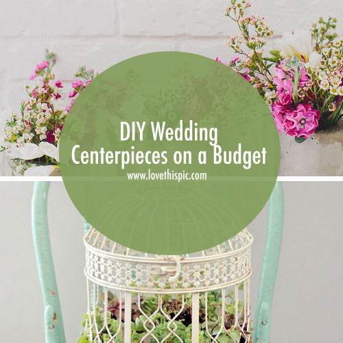 DIY Weddings On A Budget
 DIY Wedding Centerpieces on a Bud