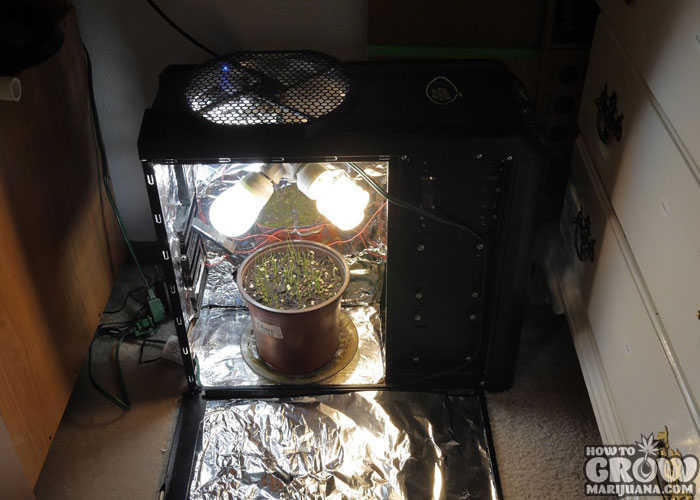 DIY Weed Grow Box
 Tips to be ing the MacGyver of DIY Marijuana Grow Boxes