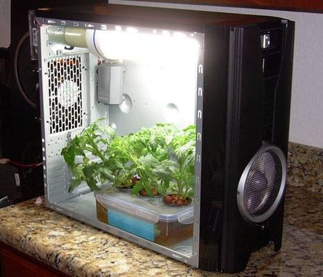 DIY Weed Grow Box
 24 DIY Grow Boxes to Control the Growing Environment