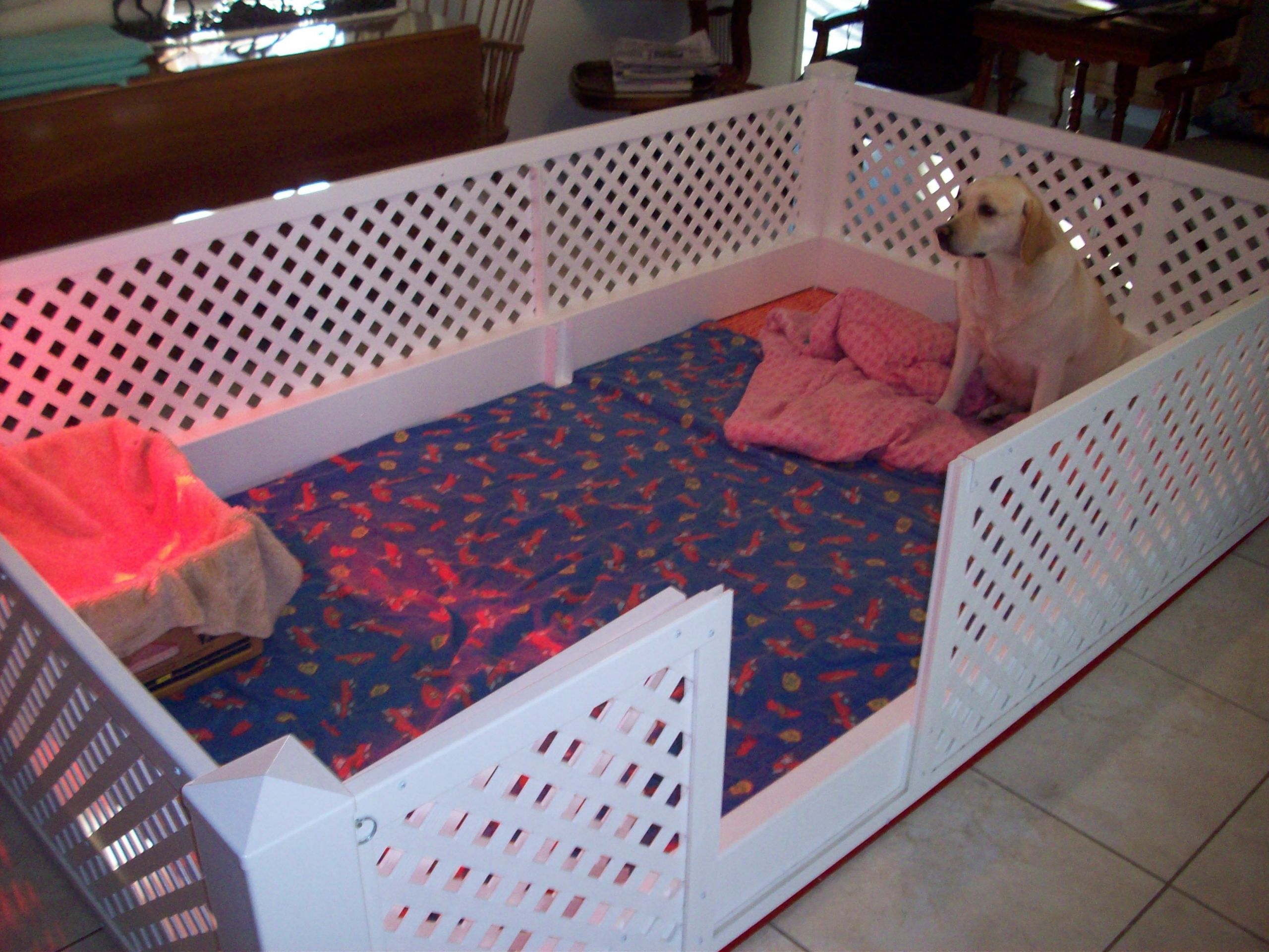 DIY Whelping Boxes
 Best 25 Whelping box ideas on Pinterest