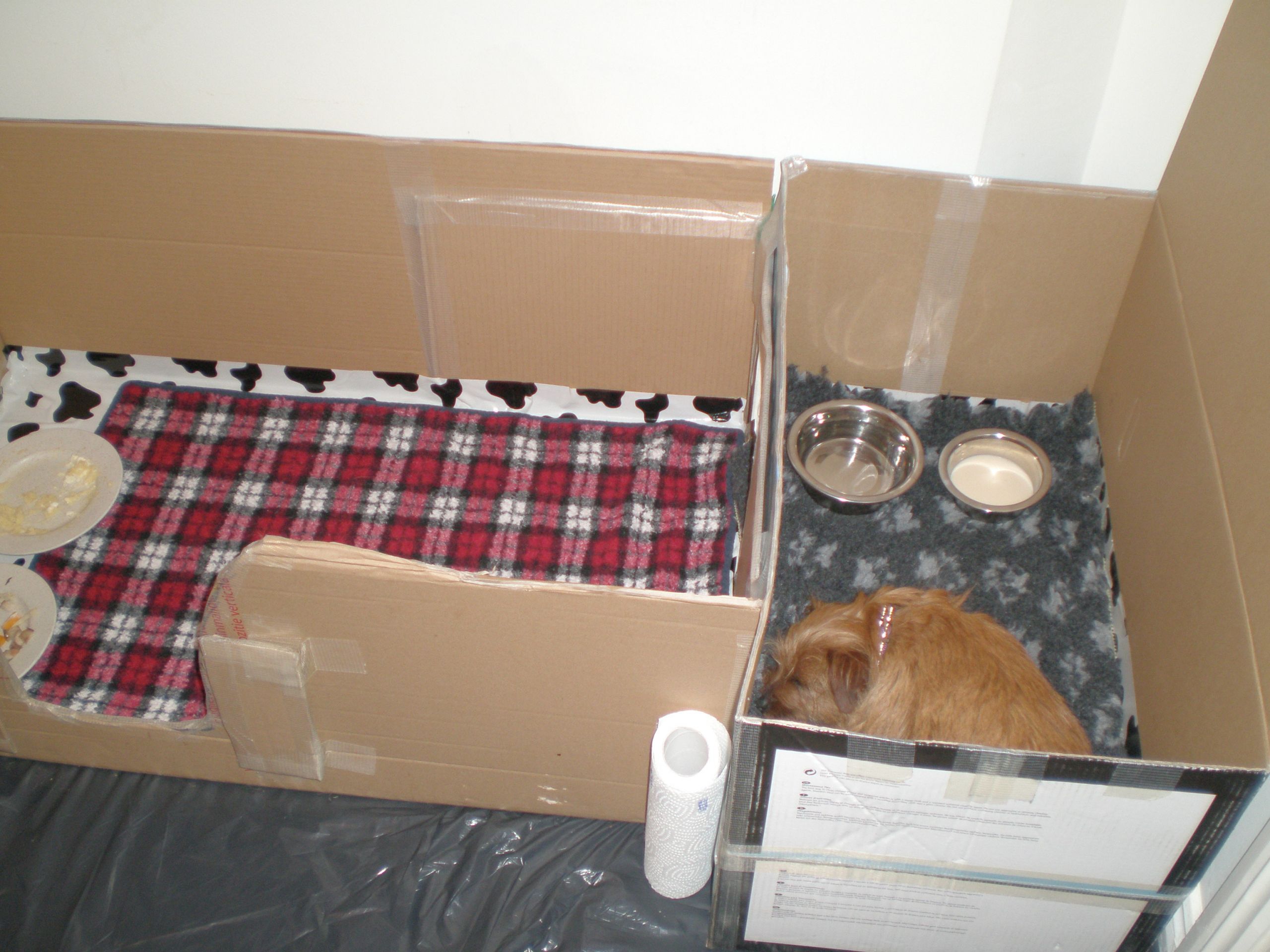 DIY Whelping Boxes
 How to Build a Whelping Box for Small Dogs