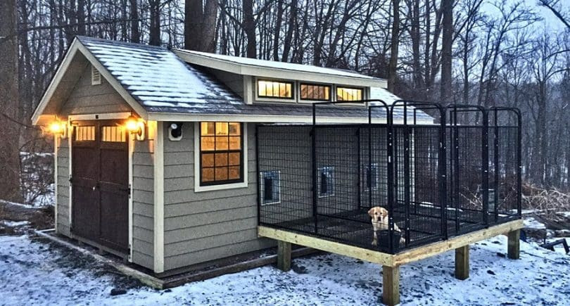 DIY Winter Dog House
 DIY Cold Weather Dog House What to Know