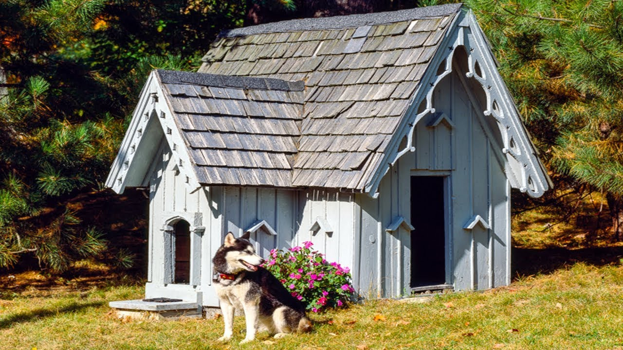 DIY Winter Dog House
 Diy Dog Houses For Winter