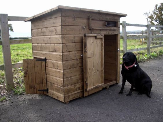 DIY Winter Dog House
 For those of you who live in cold climates what is the