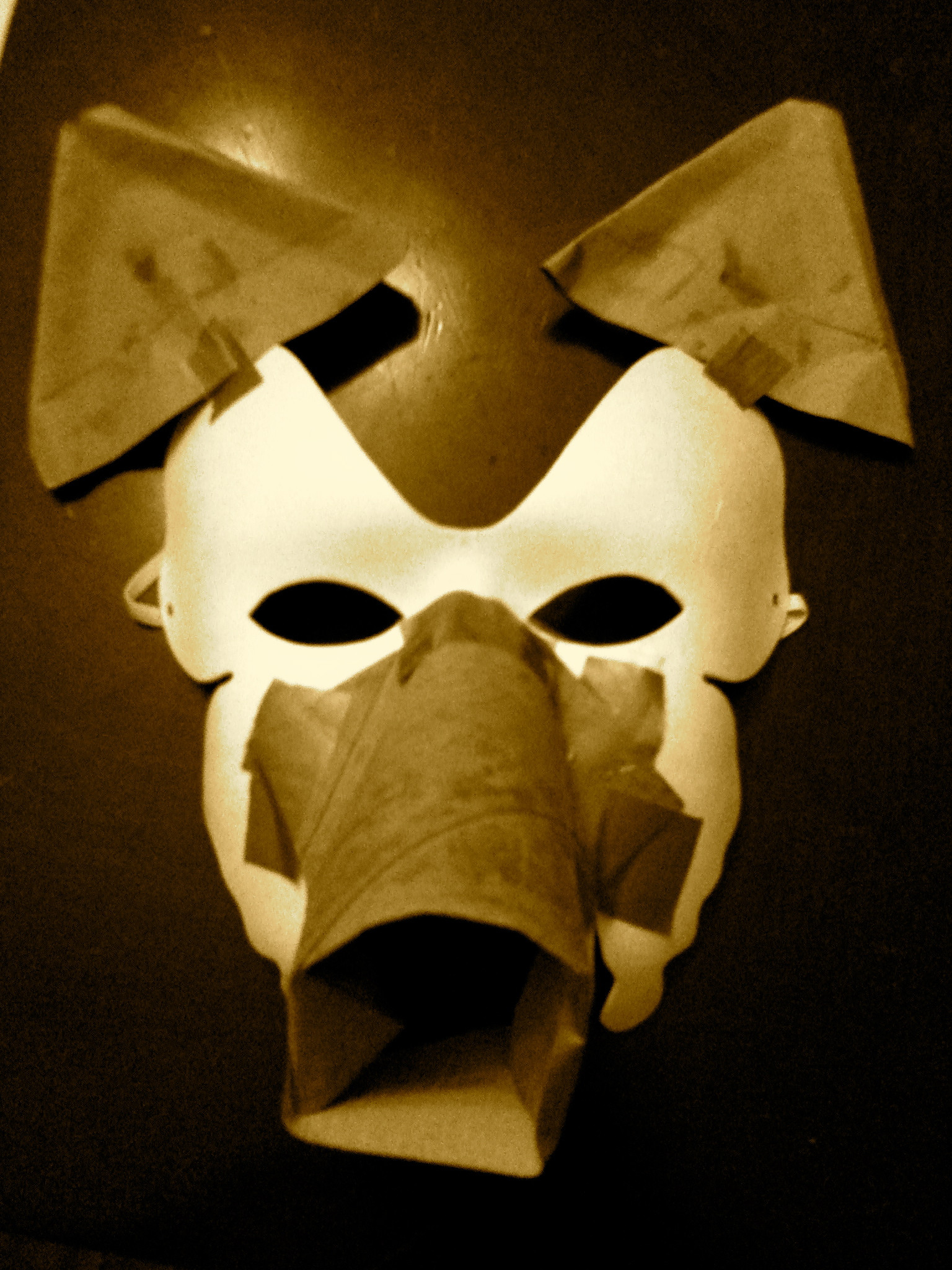 DIY Wolf Mask
 DIY Papier mâché wolf mask