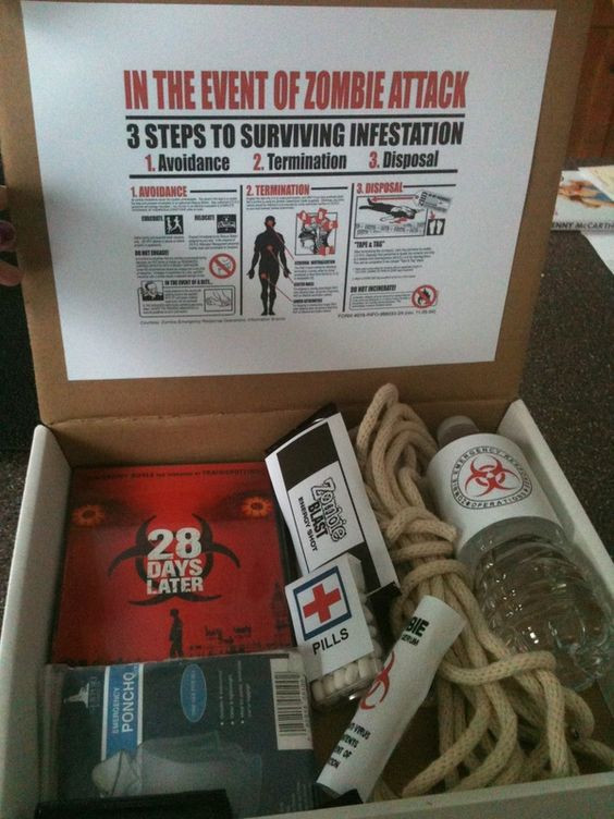 DIY Zombie Survival Kit
 I just ordered this Zombie Survival Kit online for my