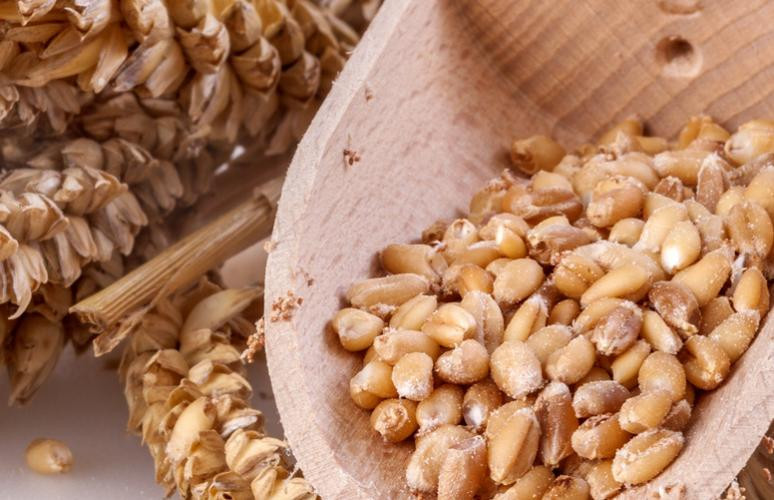 Do Oats Have Fiber
 Foods that Lower LDL Cholesterol Nuts Psyllium Oats