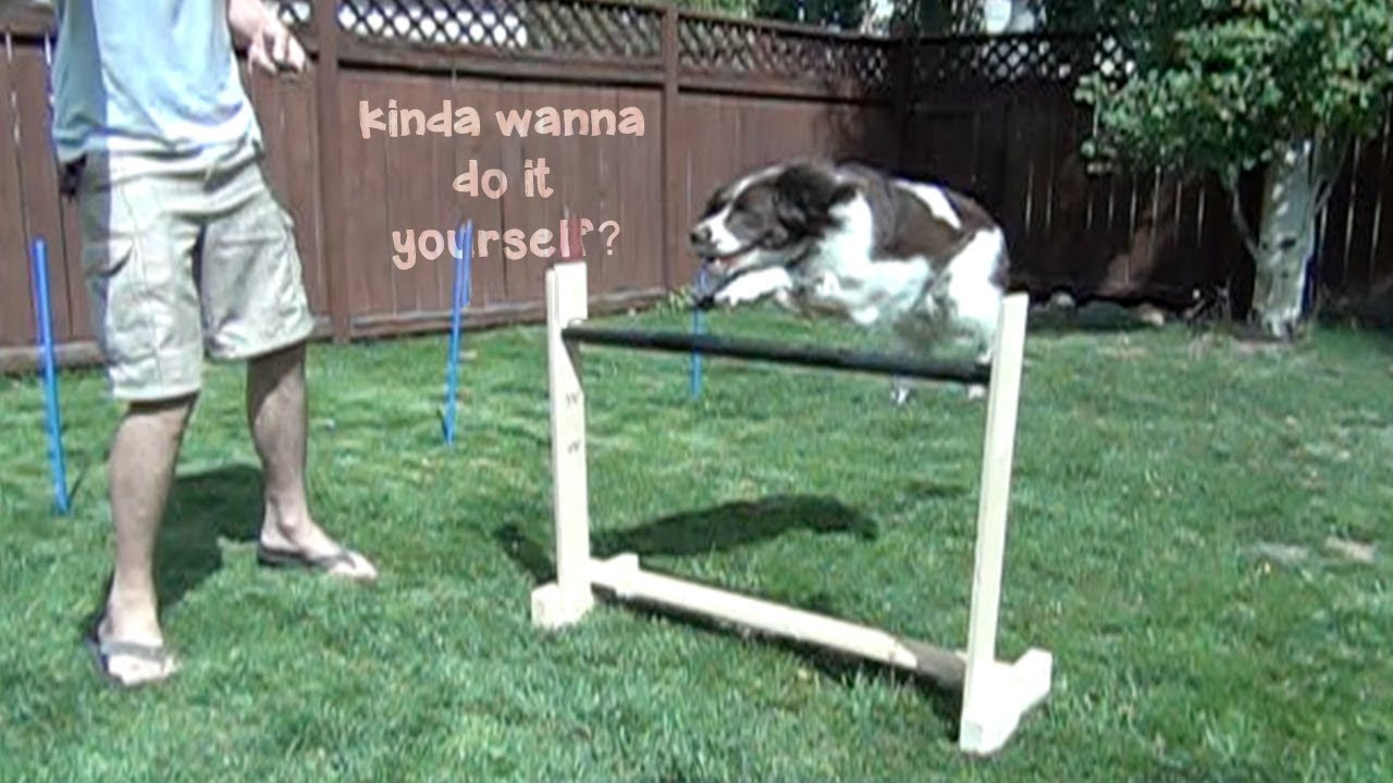 Dog Agility Jumps DIY
 DIY Dog Agility Jump and Weave Poles