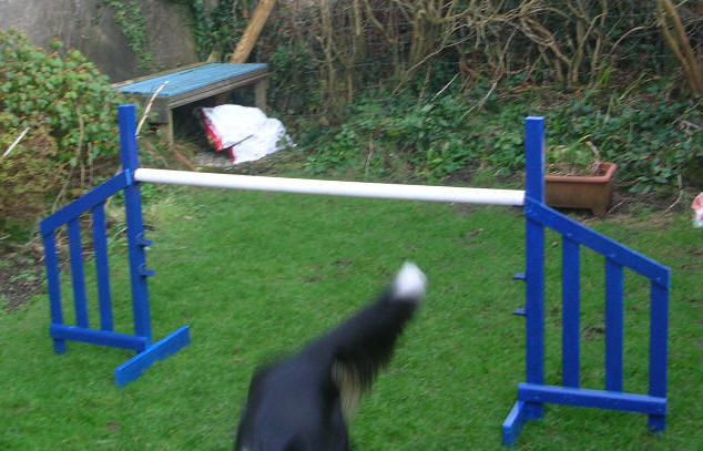 Dog Agility Jumps DIY
 Simple jump wings DIY Dog Agility Course