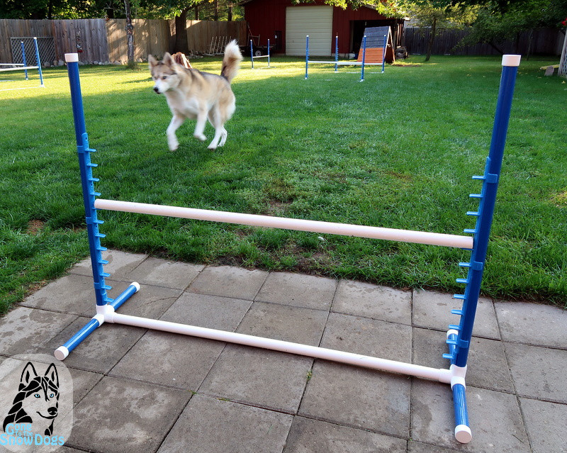 Dog Agility Jumps DIY
 DIY Build Your Own Agility Jumps for Backyard Fun Gone