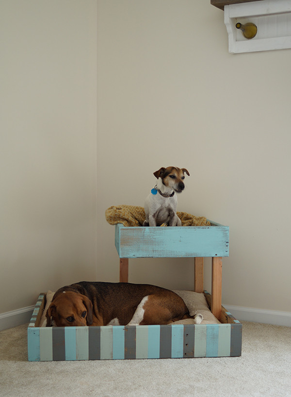 Dog Bed DIY
 12 Pawsome DIY Dog Beds