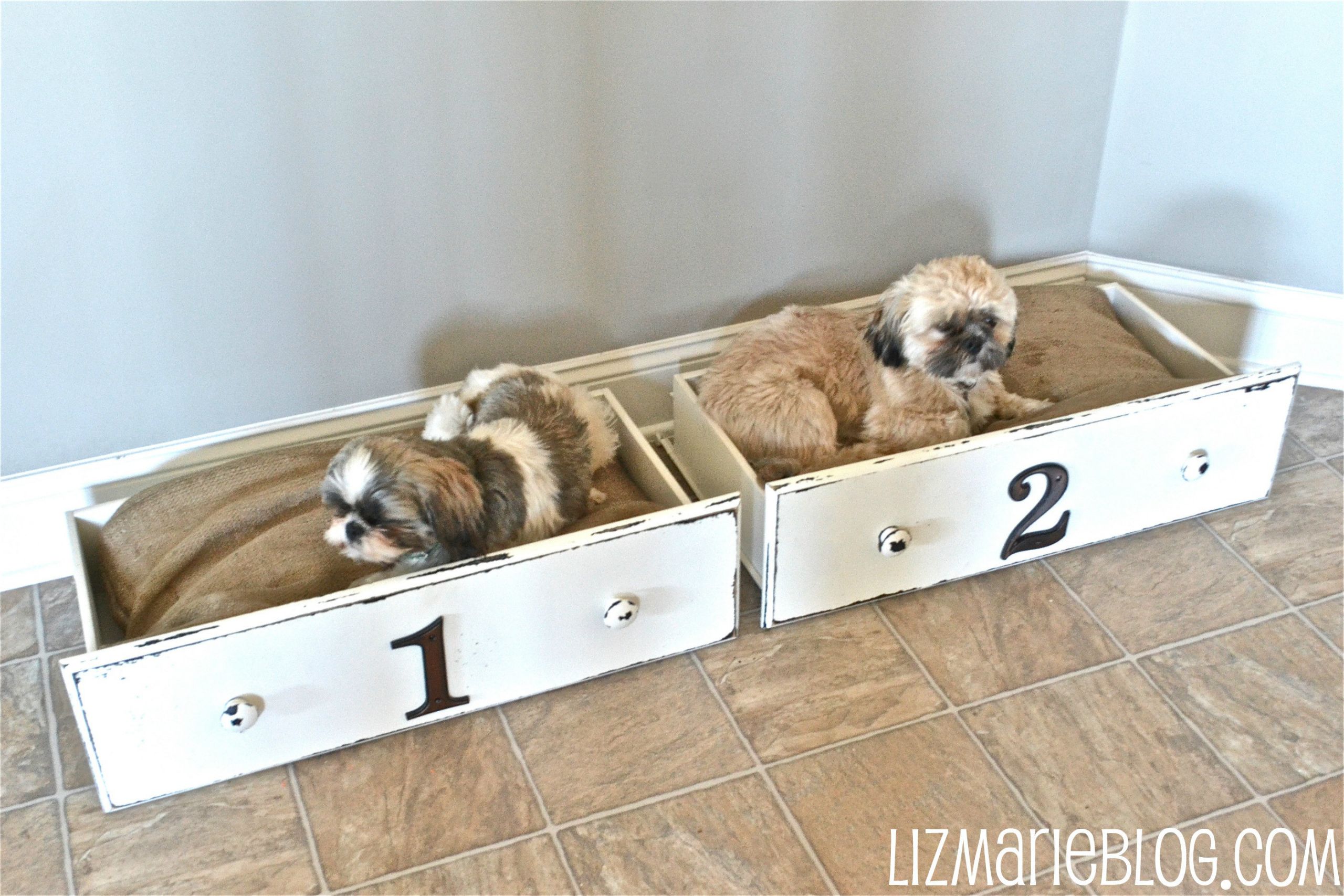 Dog Bed DIY
 12 Pawsome DIY Dog Beds