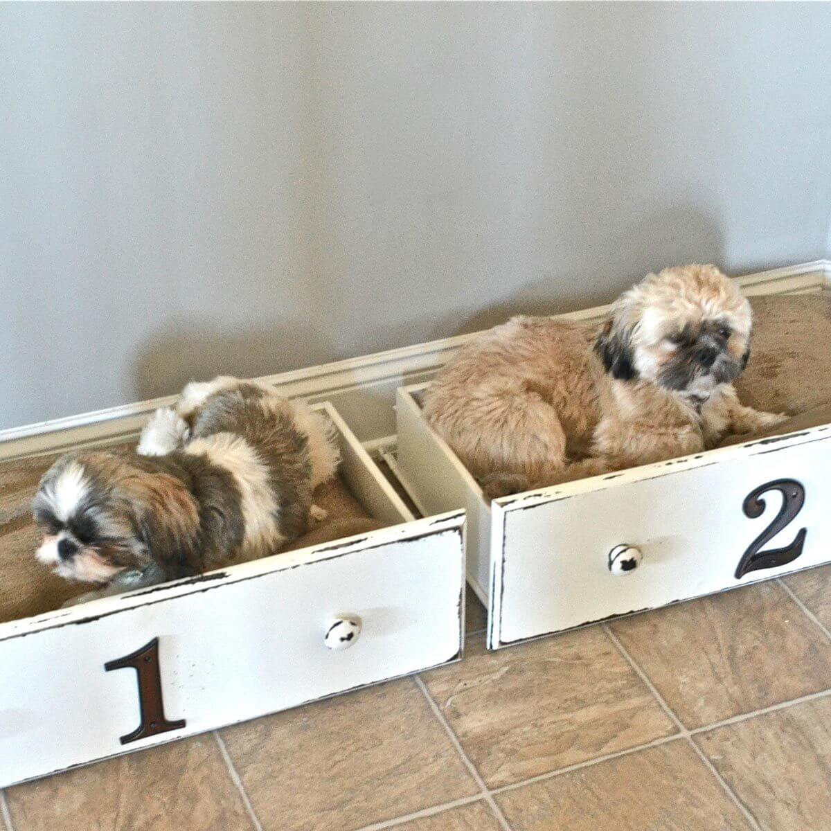 Dog Bed DIY
 14 Adorable DIY Dog Beds — The Family Handyman