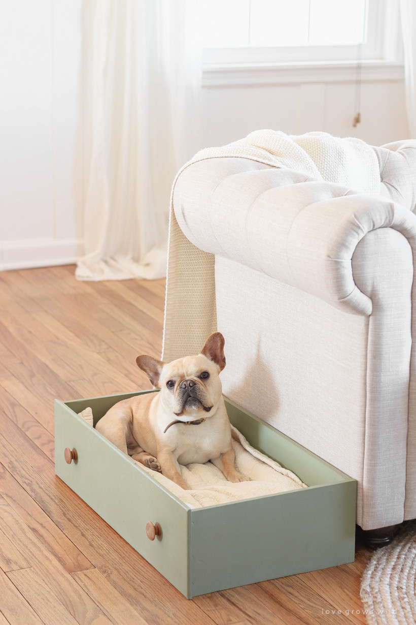 Dog Bed DIY
 DIY Drawer Dog Bed Love Grows Wild