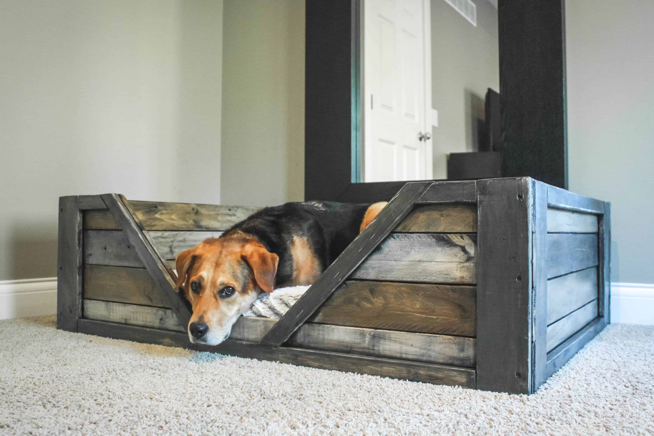 Dog Bed DIY
 DIY PDF Tutorial Pallet Dog Bed • 1001 Pallets • FREE DOWNLOAD