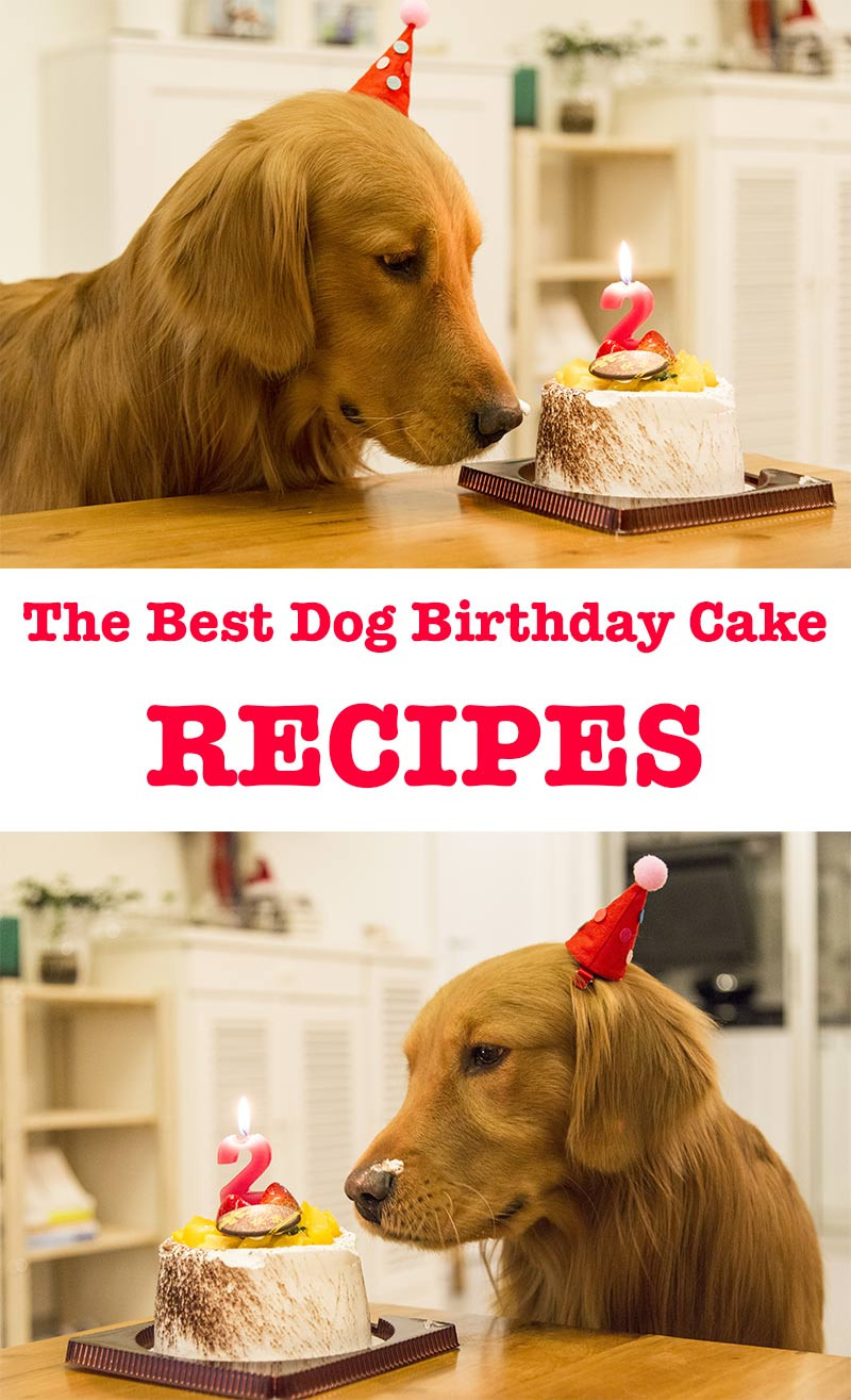 Dog Birthday Cake Recipe
 Dog Birthday Cake Recipes For Your Pup s Special Day