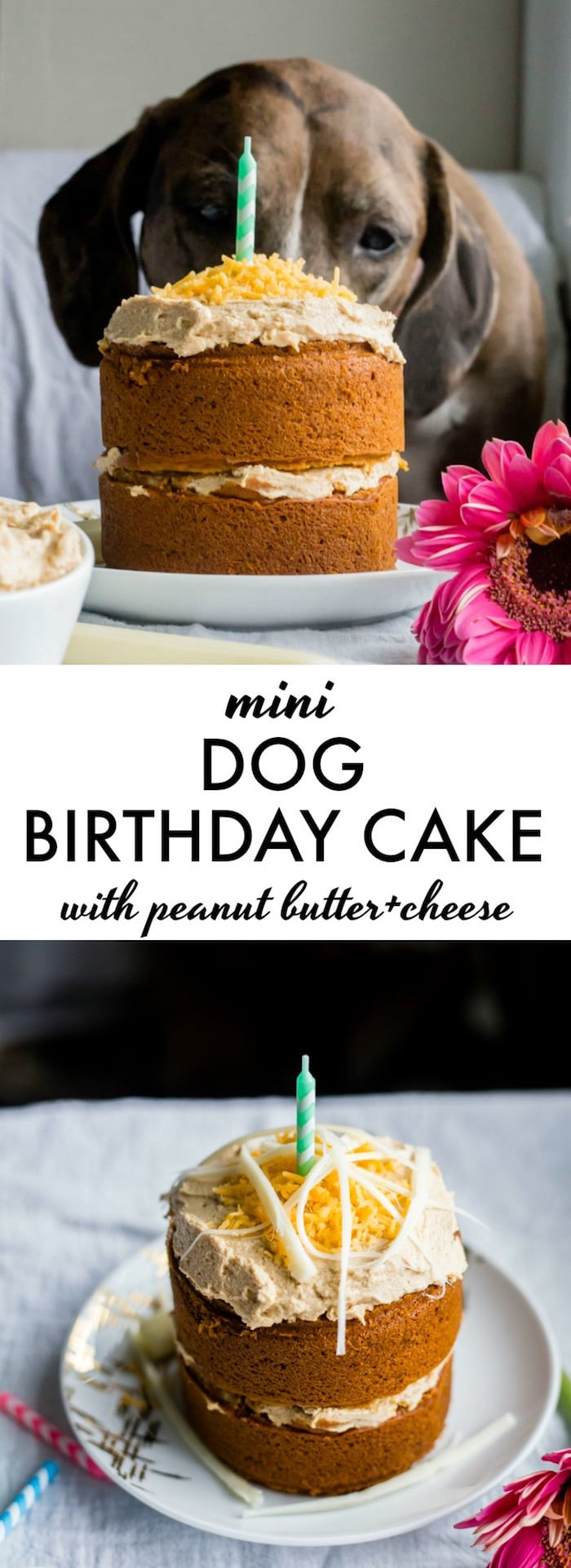 Dog Birthday Cake Recipe
 Mini Dog Birthday Cake