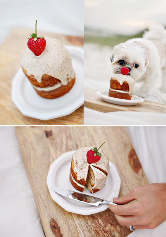 Dog Birthday Cake Recipe
 The Best Dog Birthday Cake Recipe Coco’s Birthday