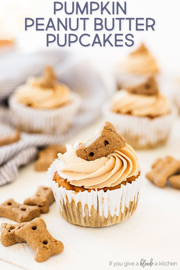 Dog Birthday Cake Recipe Without Peanut Butter
 Pumpkin Peanut Butter Pupcakes Recipe