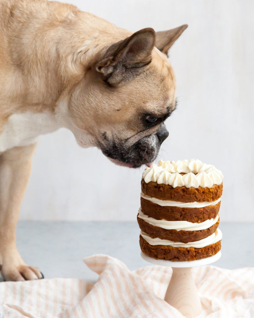 Dog Birthday Cake Recipe Without Peanut Butter
 9 Dog Birthday Cake Recipes Without Peanut Butter Hey